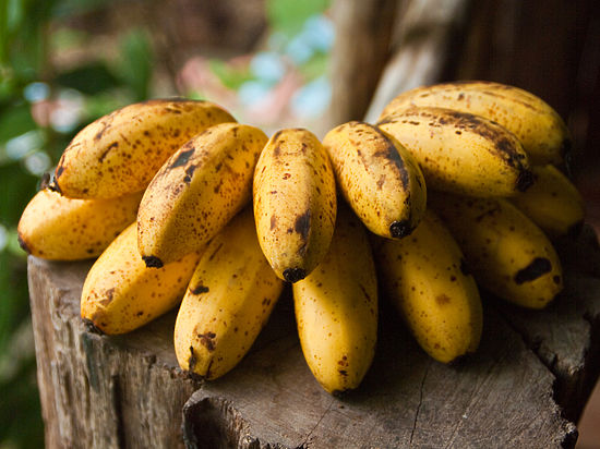 Здоровью россиян угрожают бананы в крапинку