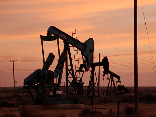 Фото: economics.mk.ru