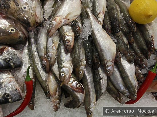 В московских магазинах появится дикая рыба