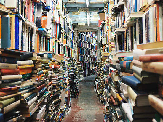 Минкульт утвердил правила для библиотек: книги будут выдавать по Интернету