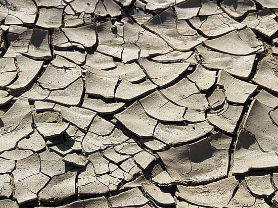 Три тысячелетние мумии бабушки и детей обнаружены в Чили