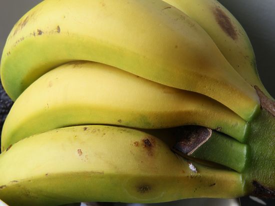 Фото: economics.mk.ru