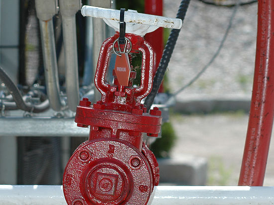  ������ ������� ����� ����������� ���� 