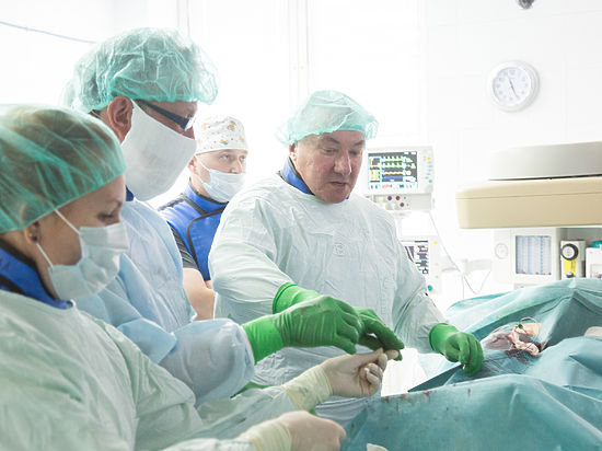 Архангельские хирурги учатся лечить рак печени без скальпеля