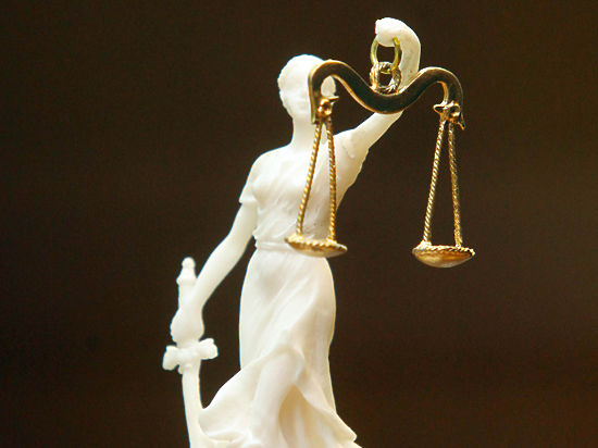 Нам следует ввести в наше законодательство представление «уголовный проступок» — Надежда Крылова