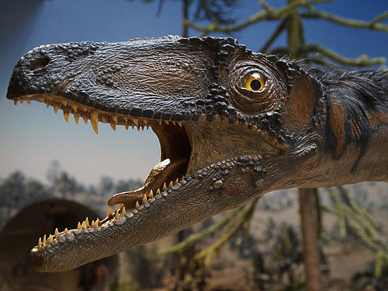 Ученый  из США  установилthat  какие  поразительные  звуки  издавали  динозавры