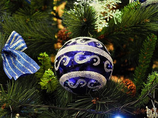 Фото: social.mk.ru