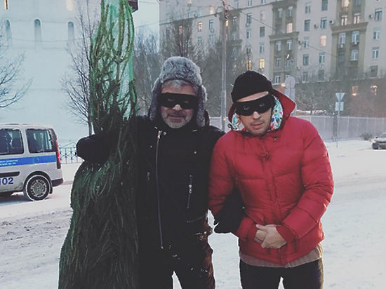 Галкина и Павлиашвили заподозрили в краже новогодней елки