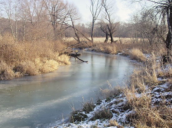Под Москвой «огородят» заказник юрского периода