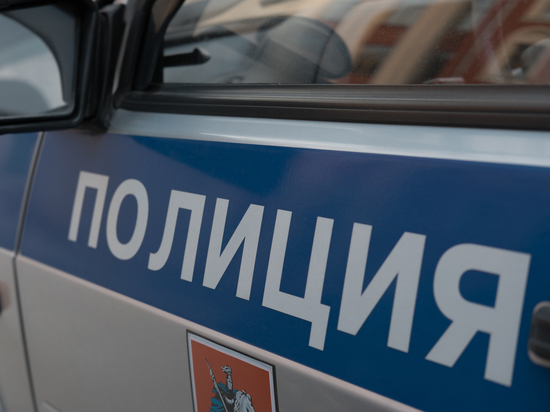 В Москве несколько мигрантов изнасиловали девятиклассницу в машине