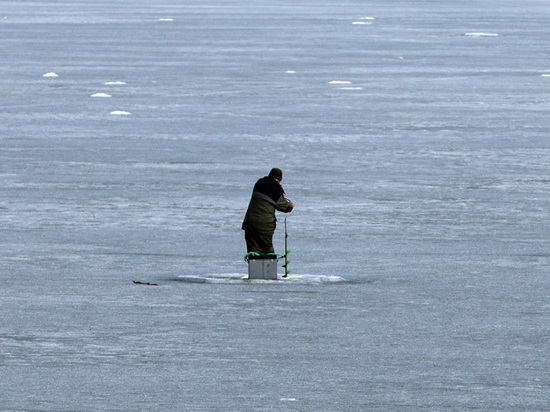 В Мособлдуме посоветовали с провалившихся под лед людей взимать плату за спасение