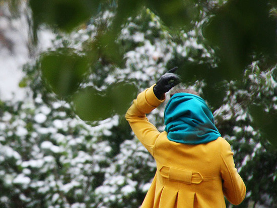  ���� ����� ��������� ������� ������ 