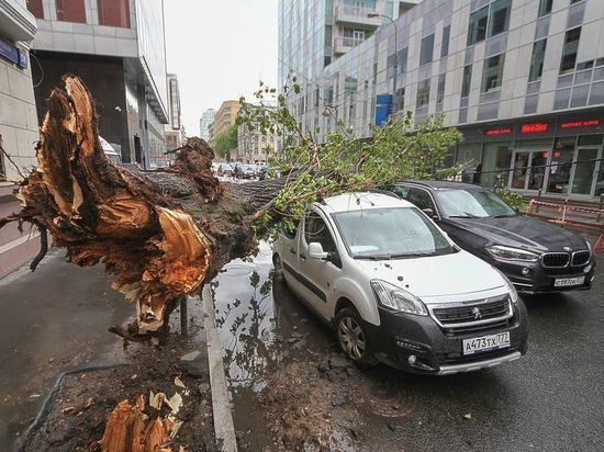 Фото: incident.mk.ru