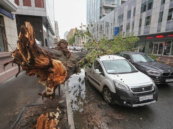  ��������� ������������ �������� ������� ������ 