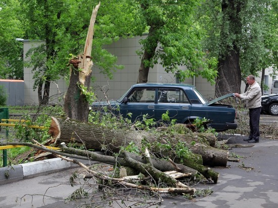 Фото: social.mk.ru