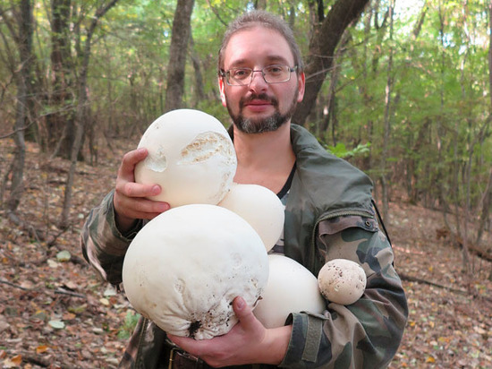 Где собирать грибы опаснее всего: советы российского биолога