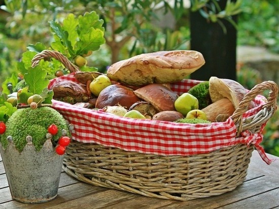 В подмосковных лесах пришло время мокрухи: грибная охота продолжается