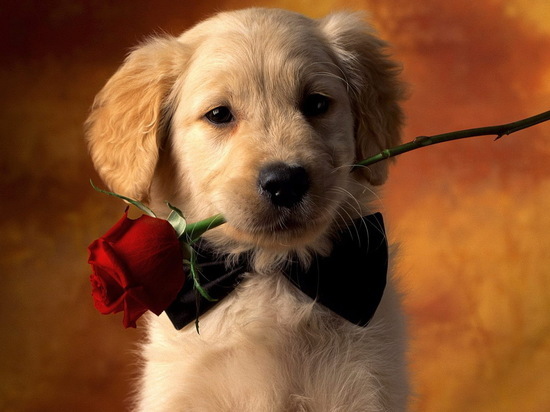 ����: social.mk.ru