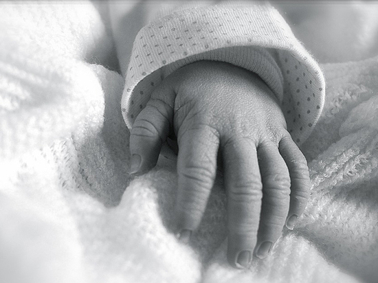 Фото: social.mk.ru