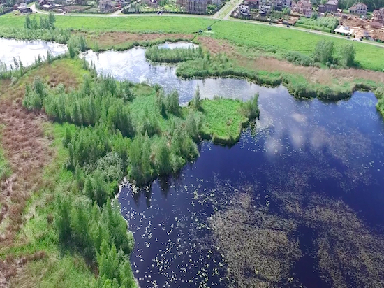 Фото: social.mk.ru