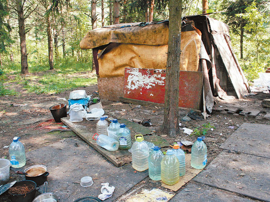 Нелегальная жизнь мусорных полигонов: от поселений бездомных до торговли продуктами