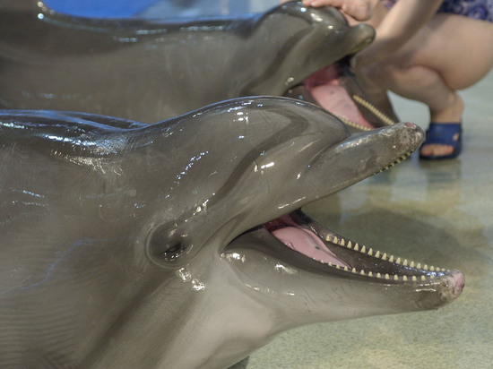  �������� �������� ���������� ����� 5000 ������ 