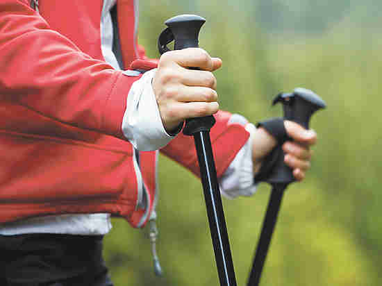 Бум скандинавской ходьбы с палками оживил пенсионеров   