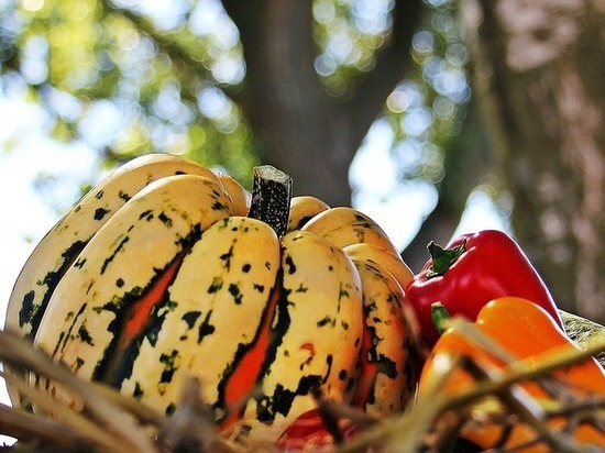  ���� ������������-2017 ��� ����������� 