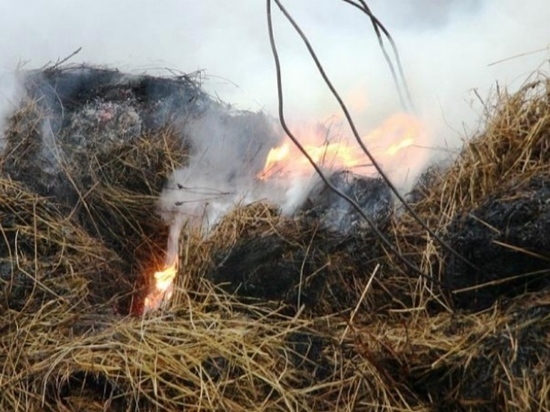 Под Кувандыком парень из мести спалил 10 тонн сена своей знакомой 