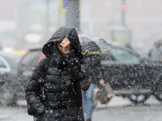 Опять ветра: в Костромской области ждут непогоду