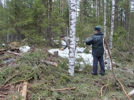 Леса Костромской области патрулируют все праздничные дни