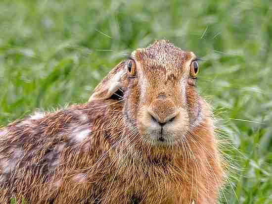  ����-����� ��������� �������� ����� �������� ������� �������� 