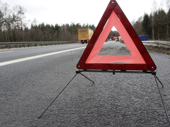 Предупреждающая табличка «берегись автомобиля» не спасла от столкновения