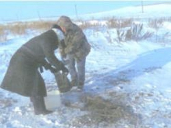 Нефтевоз уничтожил плодородный слой почвы в Сорочинске