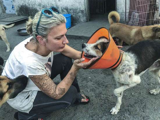 Как русские спасают собак, обреченных в Китае на съедение