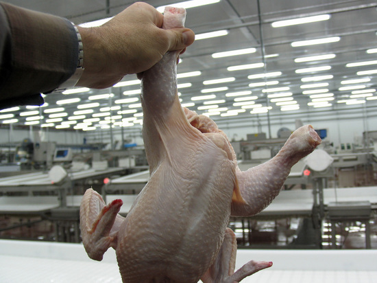 Фото: social.mk.ru