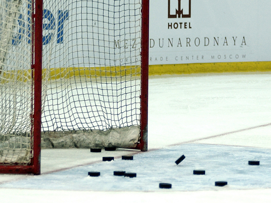 В Липецкой области 11-летнего хоккеиста убило прилетевшей шайбой 
