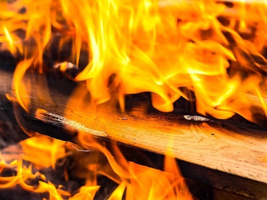 В Липецкой области в пожаре погибли несколько человек 