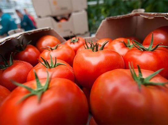 В Тамбове под пресс попало 310 килограммов турецких томатов