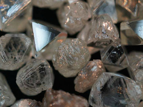 Алмазы ювелирного качества нашли в Устьянском и Шенкурском районах Архангельской области