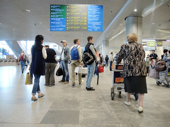 Россияне массово едут за границу: количество выездов увеличилось на 25%
