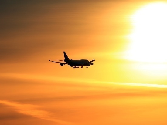 Суд признал деструктивного пассажира «Аэрофлота» виновным по статьям Уголовного кодекса