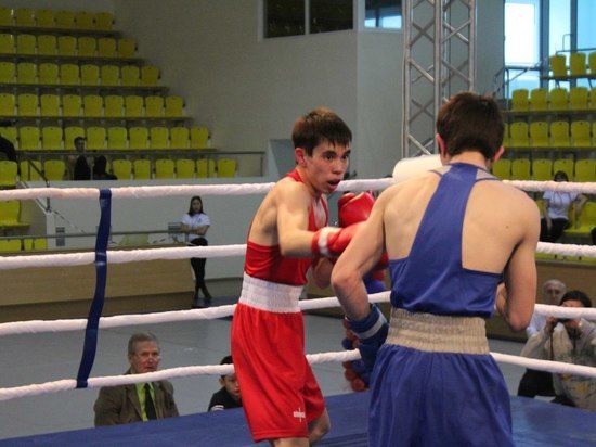 Богдан Шишкин будет представлять Калмыкию на чемпионате мира по боксу 