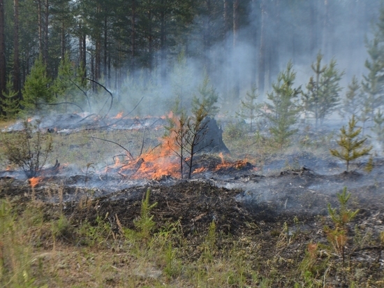 В районах Забайкалья не хватает источников воды для тушения лесных пожаров