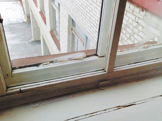«В каждой второй российской школе — грязь, плесень на стенах и текущие крыши»