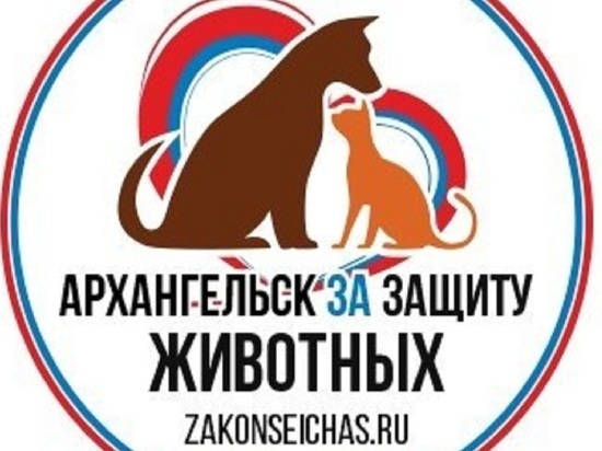 Сегодня в Архангельске пройдёт пикет в защиту животных