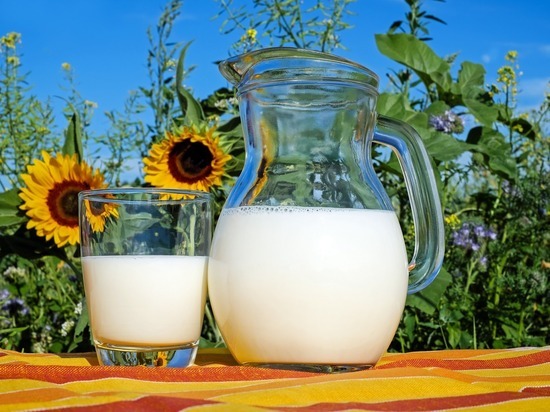 Союзмолоко рассказало, чем грозит запрет сухого молока