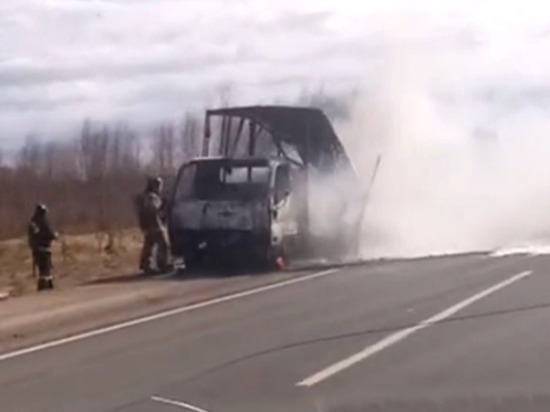 На трассе Кострома-Волгореченск сгорел грузовой  «Хендай» 