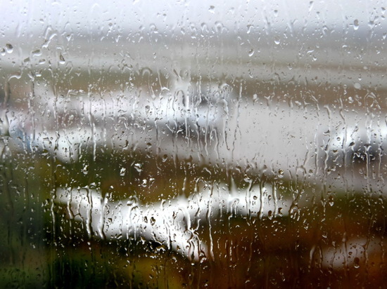26 апреля в Мордовии ожидается дождь с грозой