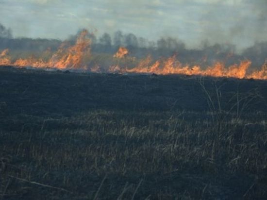 Причиной пожара в деревнях Мордовии стал поджог сухой травы